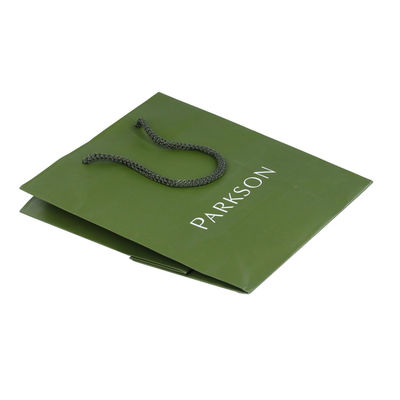 Sacs en papier de Papier d'emballage de vert de GV ISO9001 avec les poignées pp tordues